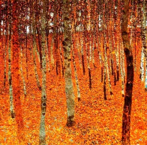 Beech Forest by Oil Painting Reproduction